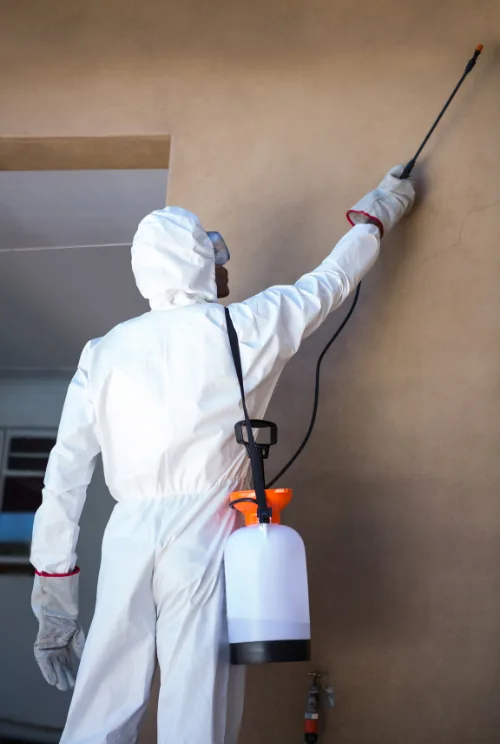 Exterminateur professionnel punaise de lit Paris