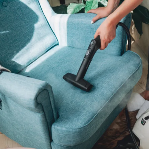 Nettoyeur vapeur pour punaises de lit