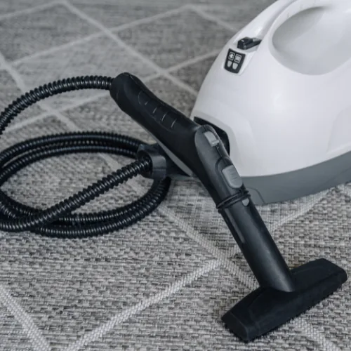 Nettoyeur vapeur et punaises de lit