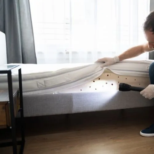 Technicien inspectant un matelas à la recherche de punaises de lit
